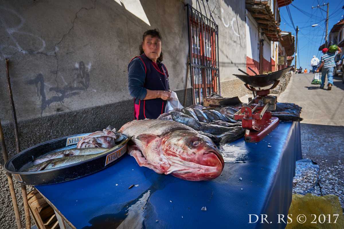 072 A61 00445 JPEG1500WZw