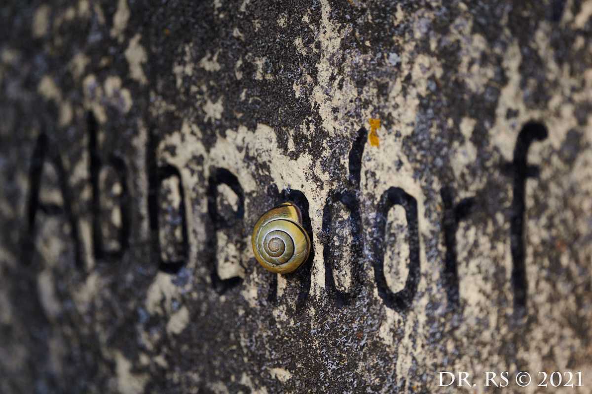 2021 DE D85 0389 J15Ww