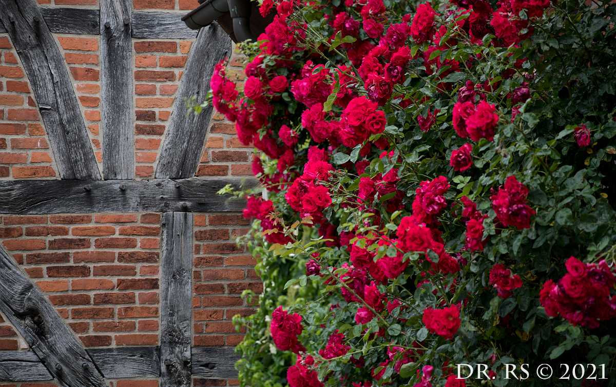 2021 DE D85 0528-Stack J15Ww