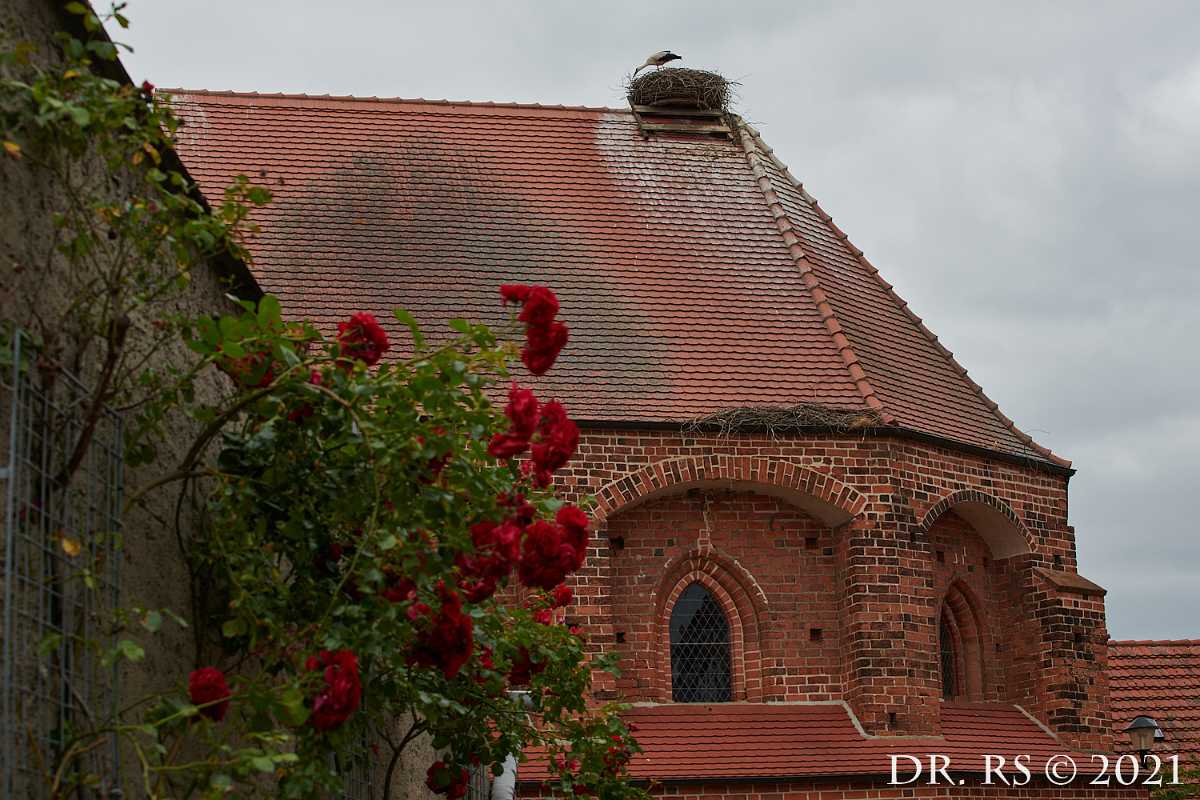 2021 DE D85 0531 J15Ww