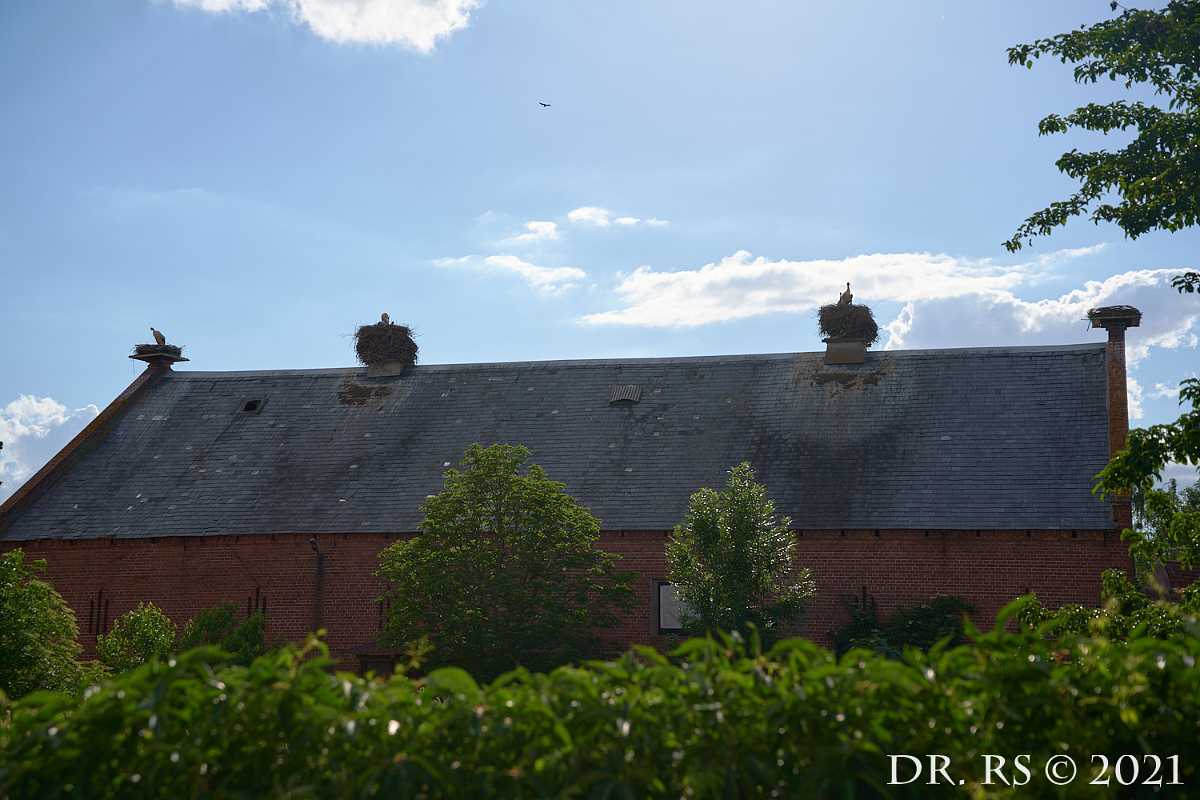 2021 DE Z72 8743 J15Ww