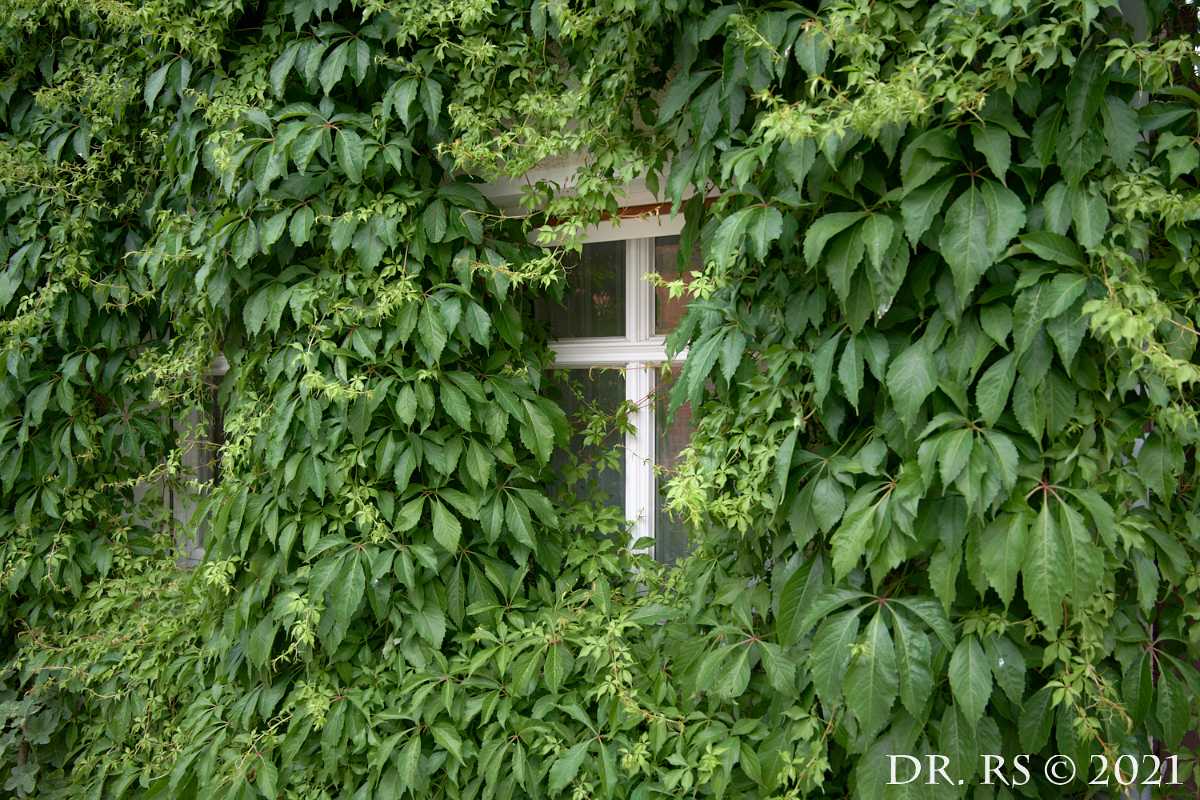 2021 DE Z72 8846 J15Ww