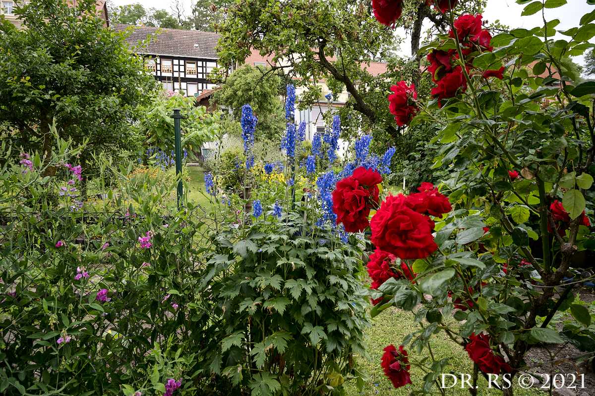 2021 DE Z72 9022-Stack J15Ww