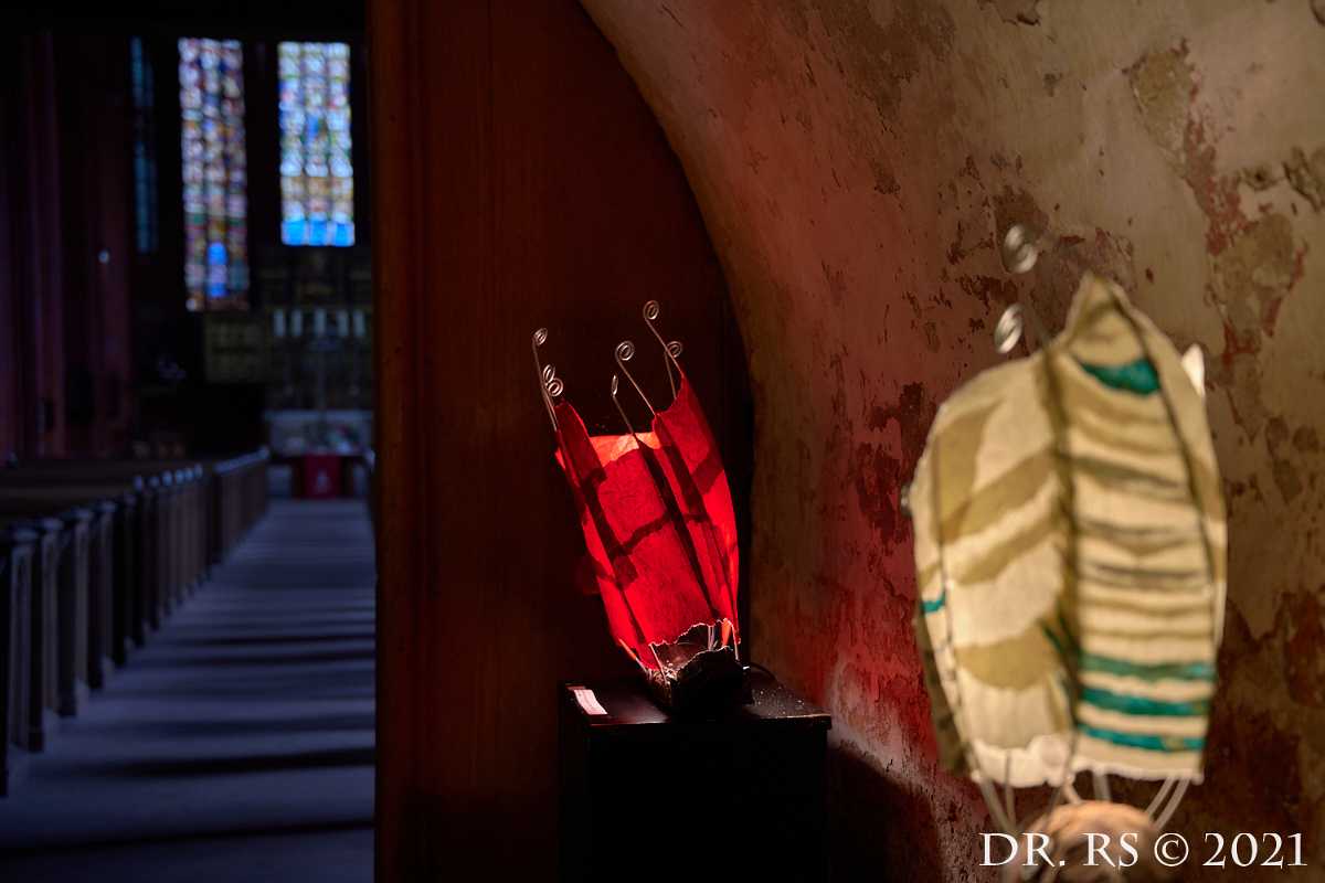 2021 DE Z72 8883 J15Ww