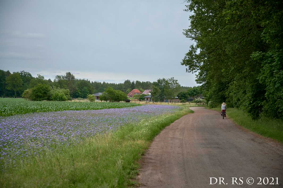 2021 DE Z72 8930 J15Ww