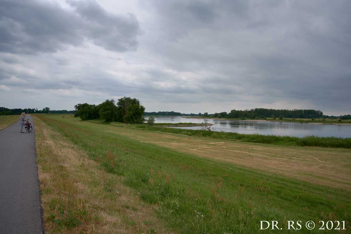 2021 DE Z72 9066 J15Ww